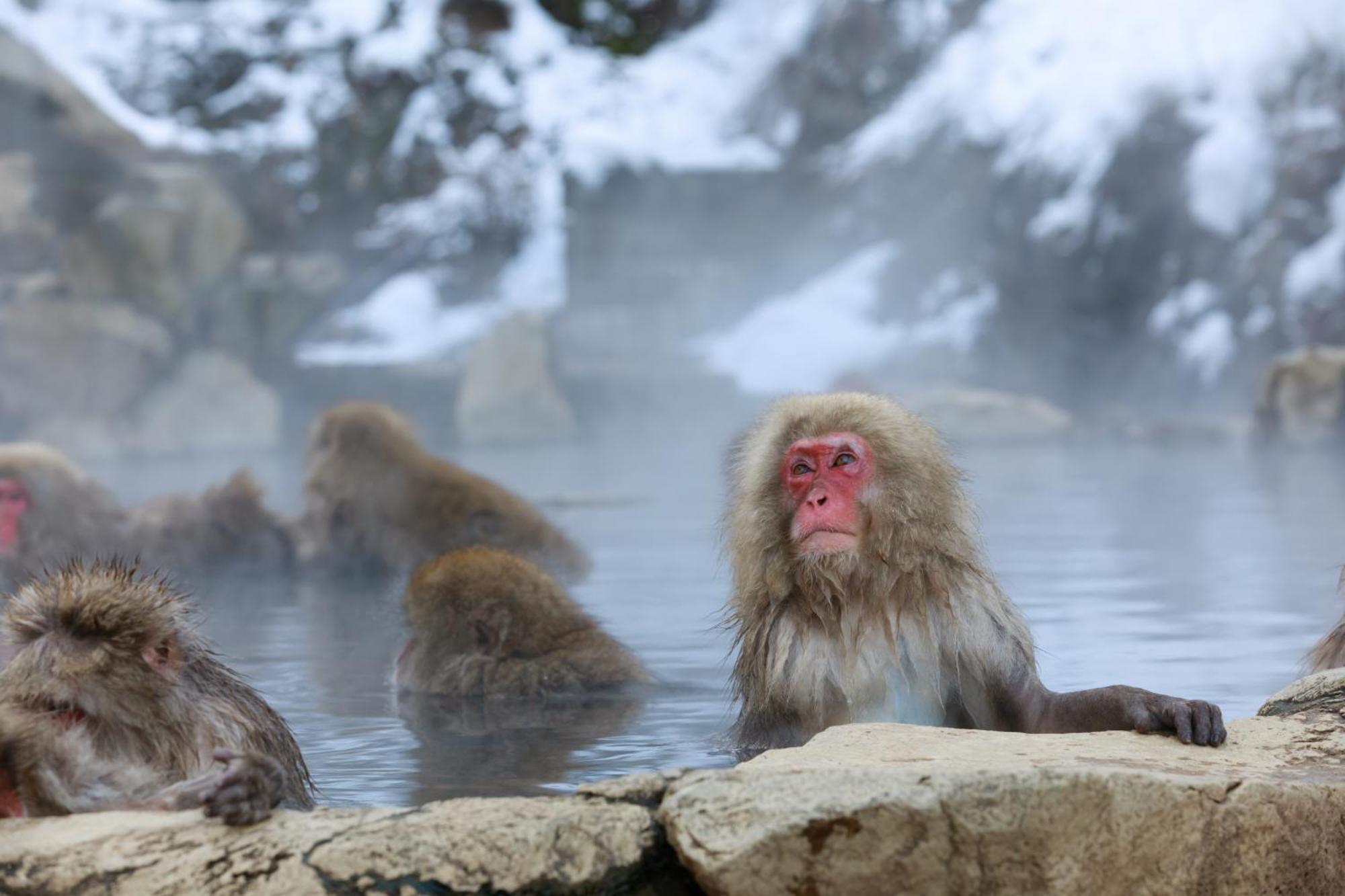 Ikariya Ryokan Jamanouči Exteriér fotografie